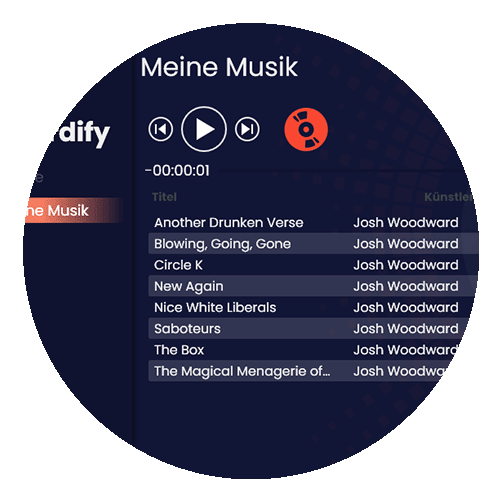 Recordify wurde dafür gemacht Musik oder Hörbücher dauerhaft als MP3 zu speichern